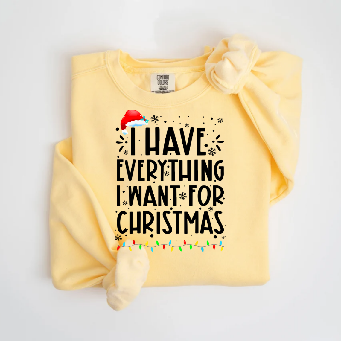 "I Have Everything I want For christmas" For Christmas Shirt, Funny Christmas Matching Shirts