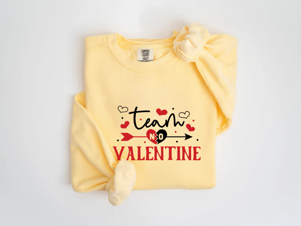 "Team No Valentine" Valentine's Day (Comfort Color) VDS031