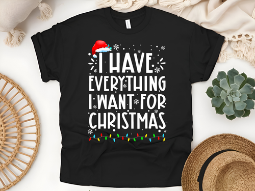 "I Have Everything I want for Christmas" For Christmas Shirt, (Gildan 5000)